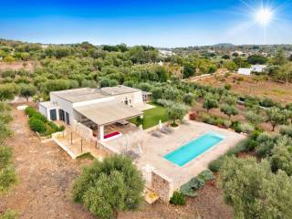 Vista