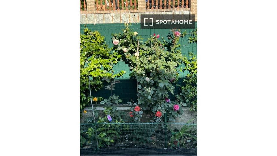 Appartamento in Sassi, foto 14 di 18