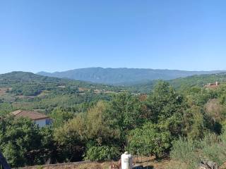 Vista