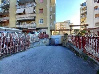 Zona