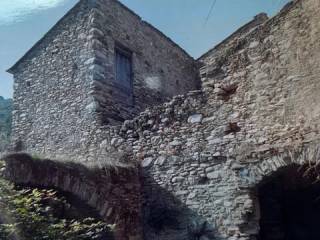 Zona