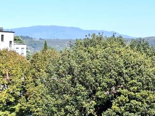 Vista