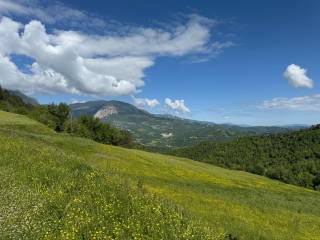 Vista