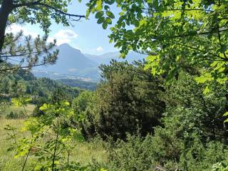 Vista