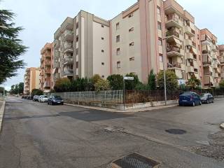 Zona