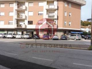 Zona