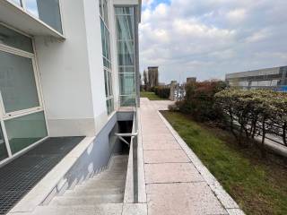 Vista