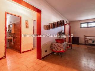 Taverna