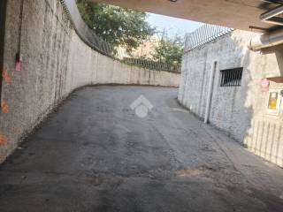 Zona