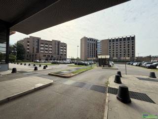 Zona