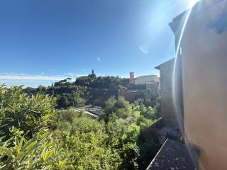 Vista