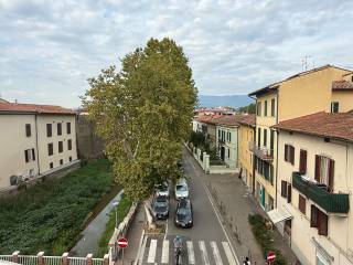 Vista