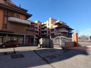 Zona