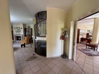 Ingresso