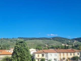 Vista