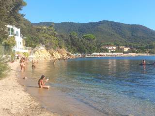 Zona