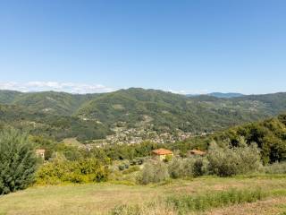 Vista