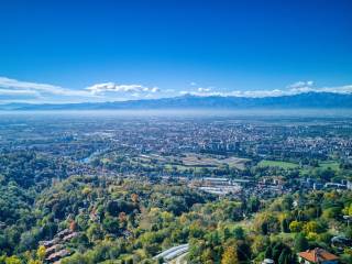 Vista