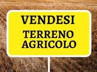 Altro