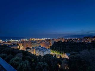 Vista