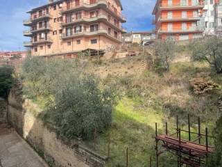 Zona
