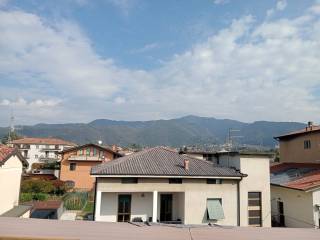Vista