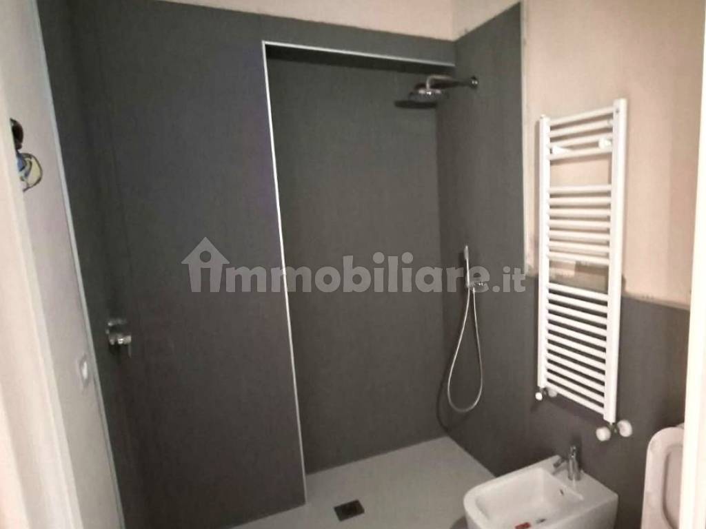 Stanza doppia in San Salvario, foto 17 di 18