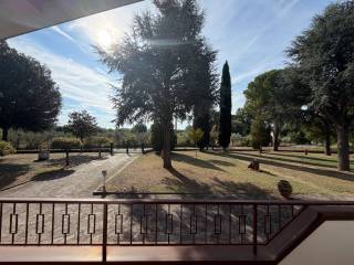 Vista