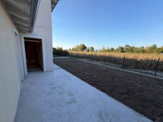 Zona