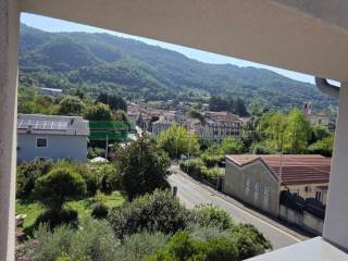 Vista