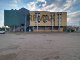 Zona