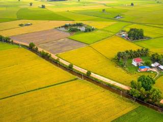 Terreno