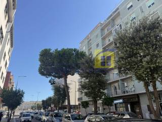 Zona