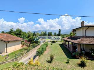 Vista