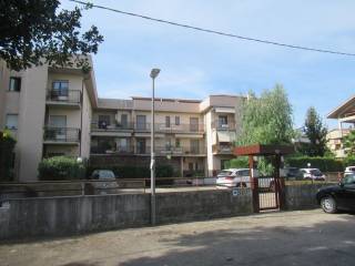 Zona