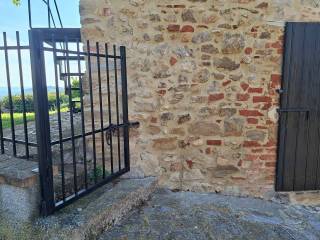 Ingresso