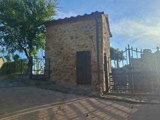 Zona
