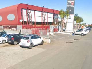 Zona