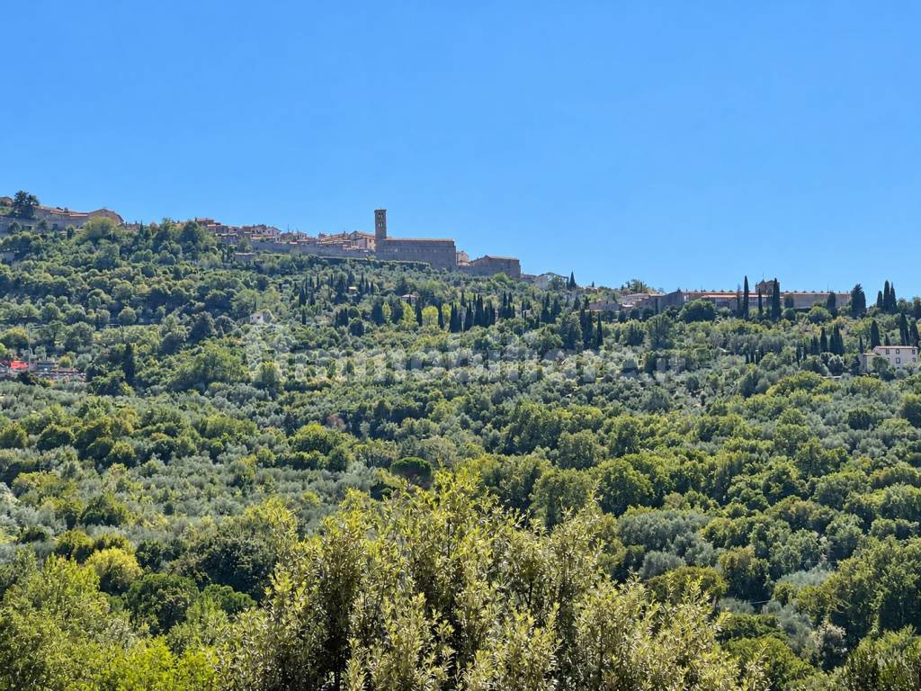 Vista