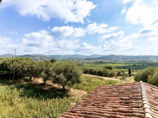Vista