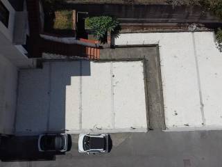 Zona
