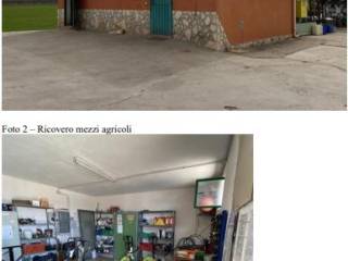 Altro