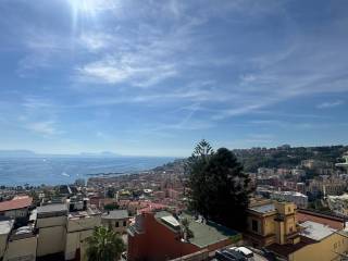 Vista