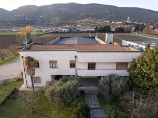 Vista