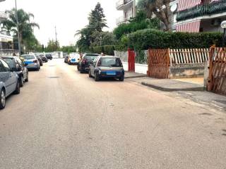 Zona