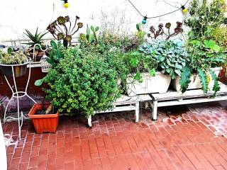 Terrazzo