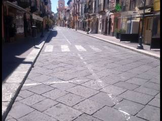 Zona