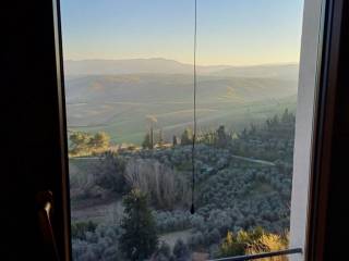 Vista