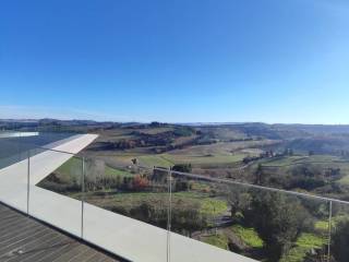 Vista