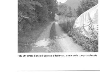 Altro